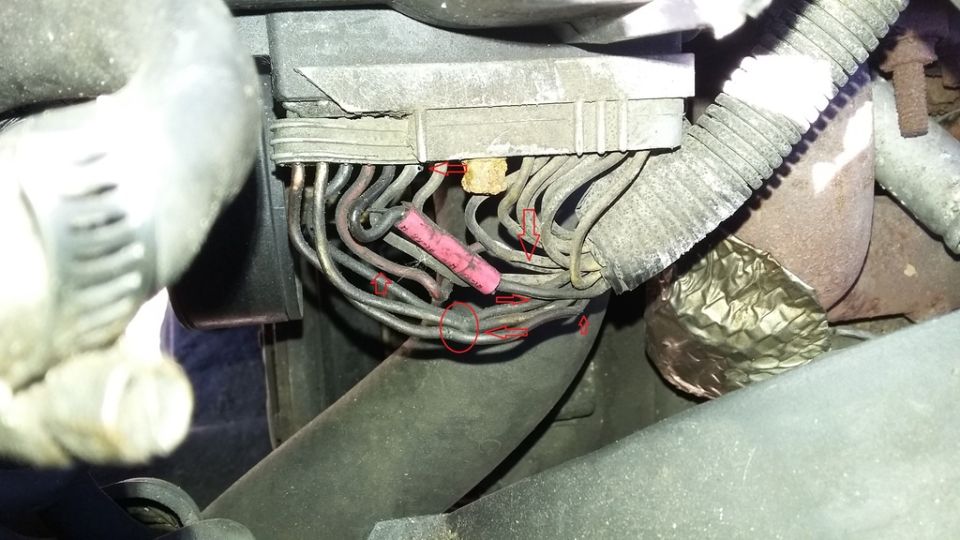 Close-up of automotive wiring harness with red connectors and hose.