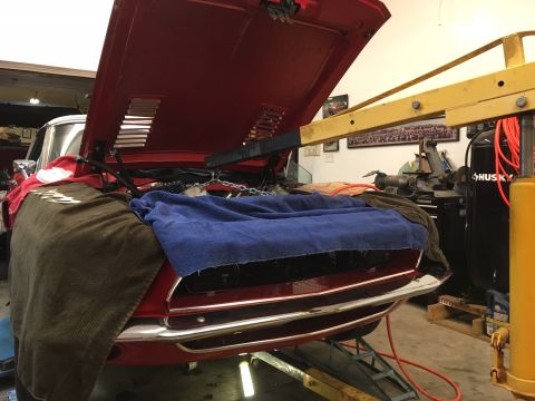 1968 Shelby GT500 - A 1968 Shelby GT500 is undergoing engine work in a garage, with its hood propped open and the engine compartment covered.