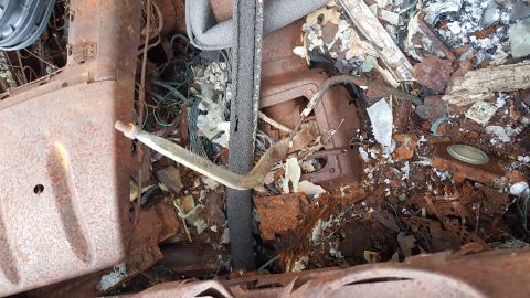 1973 Ford F-100 - The interior of this vehicle is heavily rusted and filled with debris.