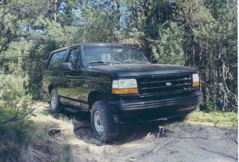 1995 Ford Bronco - Wanna bee