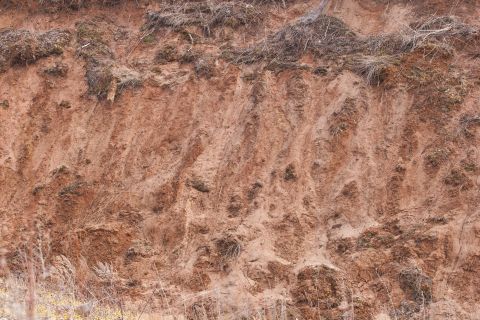 1993 Ford Bronco - A close-up view of an eroded dirt embankment, revealing layers of soil and sparse vegetation.