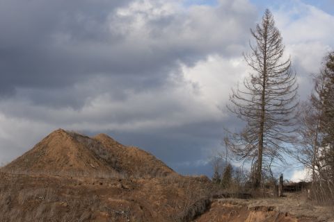 1993 Ford Bronco - A desolate scene with a dead tree and hills under a dramatic sky.