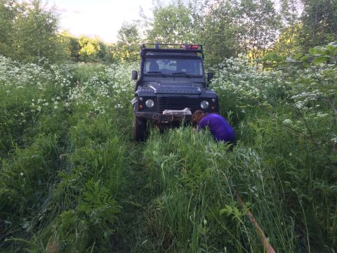 1993 Ford Bronco - A person inspects the front of a Land Rover Defender surrounded by dense vegetation and white flowers.