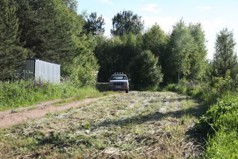 1993 Ford Bronco - A white Ford Bronco is parked on a dirt path surrounded by trees and cut grass.