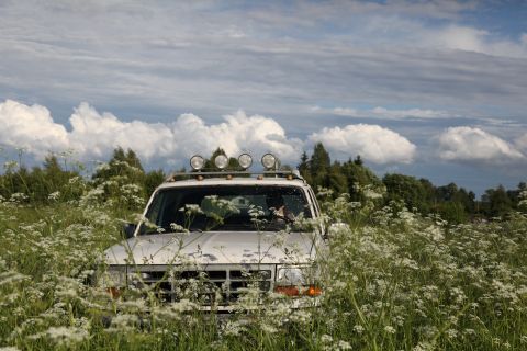 1993 Ford Bronco - A white 1993 Ford Bronco is parked in a field of white wildflowers under a cloudy sky.