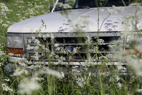 1993 Ford Bronco - Front view of a 1992 Ford Bronco partially obscured by tall grass and white wildflowers.