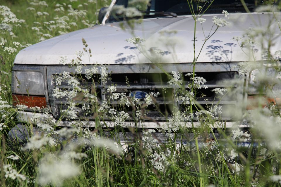 1992 Ford Bronco front grille and headlights overgrown with white flowers and green grass