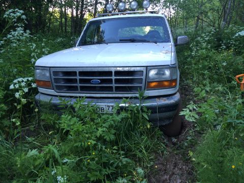 1993 Ford Bronco - A white Ford Bronco is stuck in the mud, surrounded by overgrown vegetation.