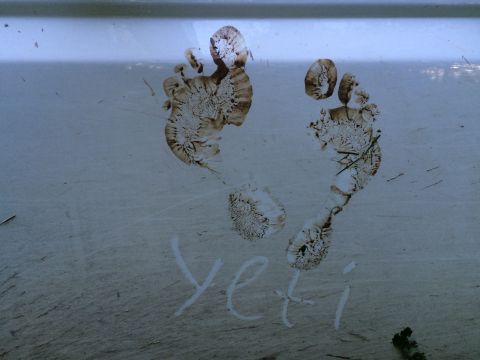 1993 Ford Bronco - Muddy footprints and the word "yeti" are visible on the dirty exterior of a vehicle.