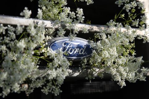 1993 Ford Bronco - A Ford emblem is partially obscured by white flowers on a vehicle's front grille.