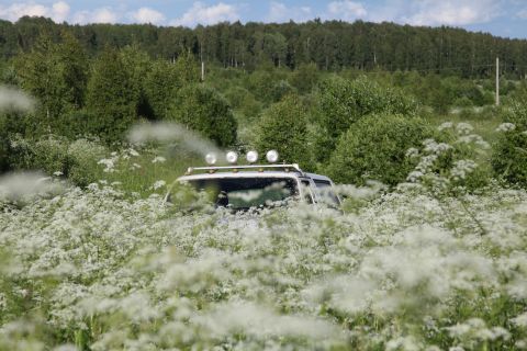 1993 Ford Bronco - A white SUV navigates through a dense field of white wildflowers, its roof rack and spotlights visible above the blooms.
