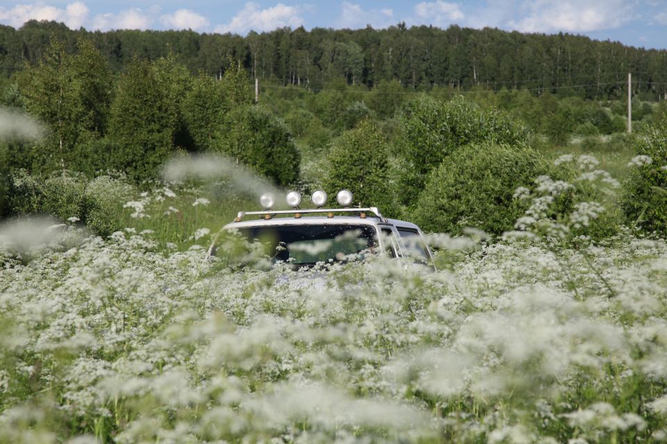 White SUV with roof rack and spotlights partially submerged in a field of white flowers