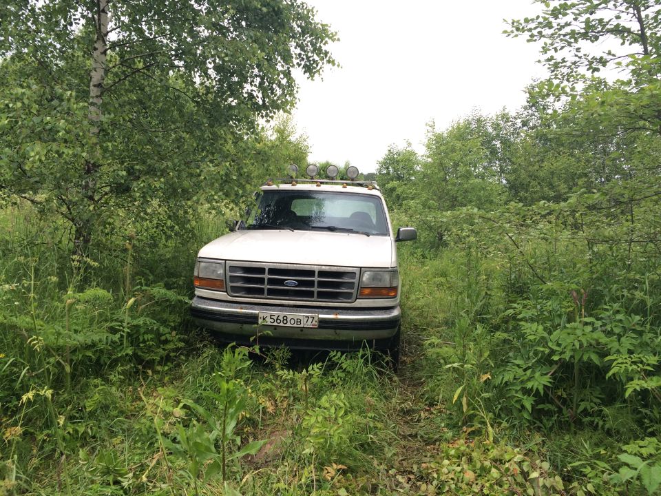 White Ford Bronco parked in overgrown grass, front view. Lights on roof rack