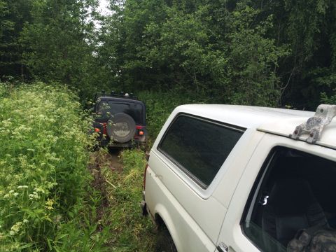 1993 Ford Bronco - Two SUVs navigate a muddy trail surrounded by lush green foliage.