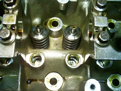 2000 Mercury Marquis - Rennegade Ported NonPI Head Valve Springs