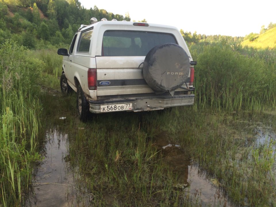 1993 Ford Bronco parked in shallow water and tall grass, rear view with spare tire mounted