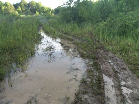 1993 Ford Bronco - A muddy track disappears into a wooded area, with tire ruts visible in the mud and water.