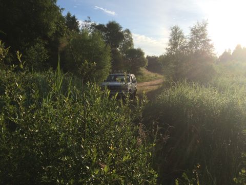 1993 Ford Bronco - A vehicle is parked on a dirt path surrounded by dense vegetation under a bright sky.