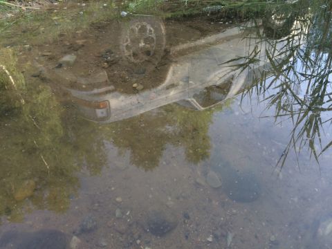 1993 Ford Bronco - The reflection of a white SUV is visible in the water, with reeds and foliage overhead.