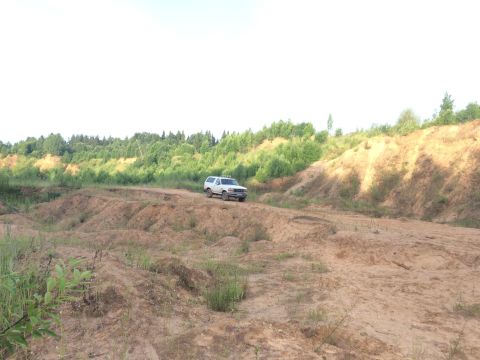 1993 Ford Bronco - A white 1992 Ford Bronco navigates a dirt track through a sandy, wooded landscape.