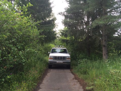 1993 Ford Bronco - A white 1993 Ford Bronco with auxiliary lights on the roof is parked on a dirt road surrounded by trees.