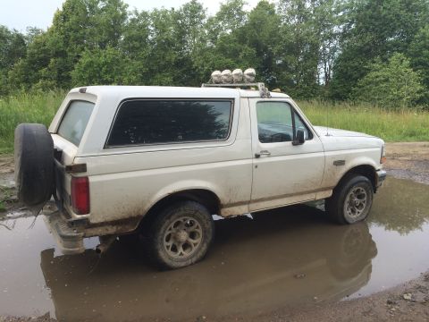 1993 Ford Bronco - This 1993 Ford Bronco is partially submerged in a muddy puddle, with trees and tall grass in the background.