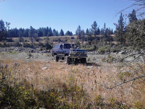 1995 Ford Bronco - This dark blue Ford Bronco navigates a dry, grassy terrain under a clear blue sky.