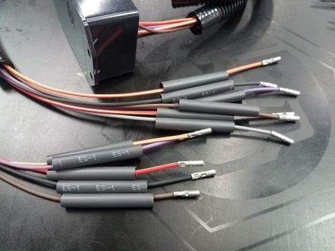 2003 Mercury Marauder - Close-up view of a wiring harness with multiple wires covered in heat shrink tubing, some labeled ES-1.