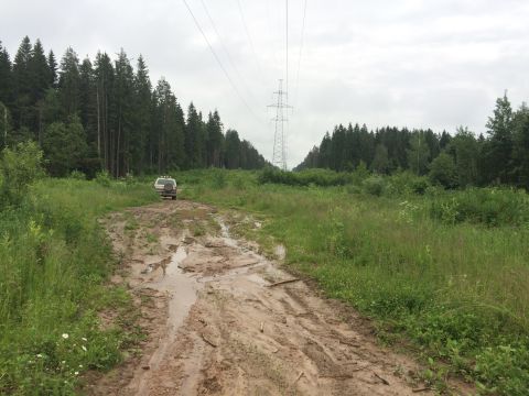 1993 Ford Bronco - A white SUV is parked on a muddy, rutted dirt road leading into a dense forest. A tall power line tower is visible in the distance over the…