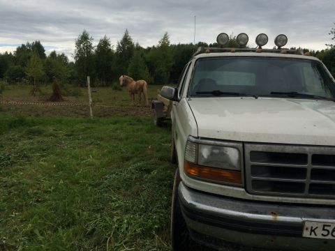 1993 Ford Bronco - A white 1990s Ford pickup truck with four off-road lights mounted on the roof rack is parked in a grassy field. A light brown horse stands…
