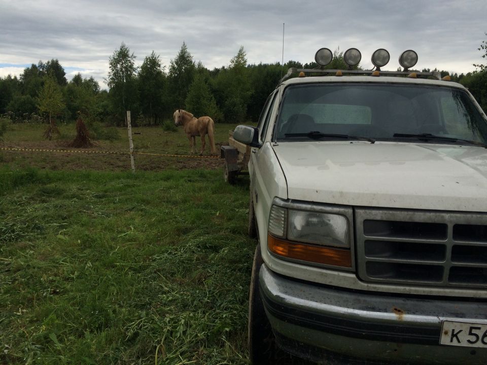 White 1990s Ford pickup truck with roof lights parked in a field, horse in background.