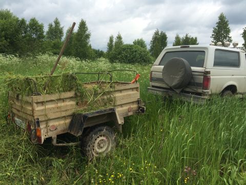 1993 Ford Bronco - A beige trailer filled with cut grass is parked next to a white Ford Bronco SUV in a grassy field. The Bronco has a spare tire mounted on t…
