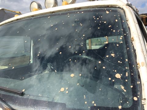 1993 Ford Bronco - The windshield of a white truck is heavily splattered with mud, obscuring the view of the interior and the sky reflected on the glass. The…