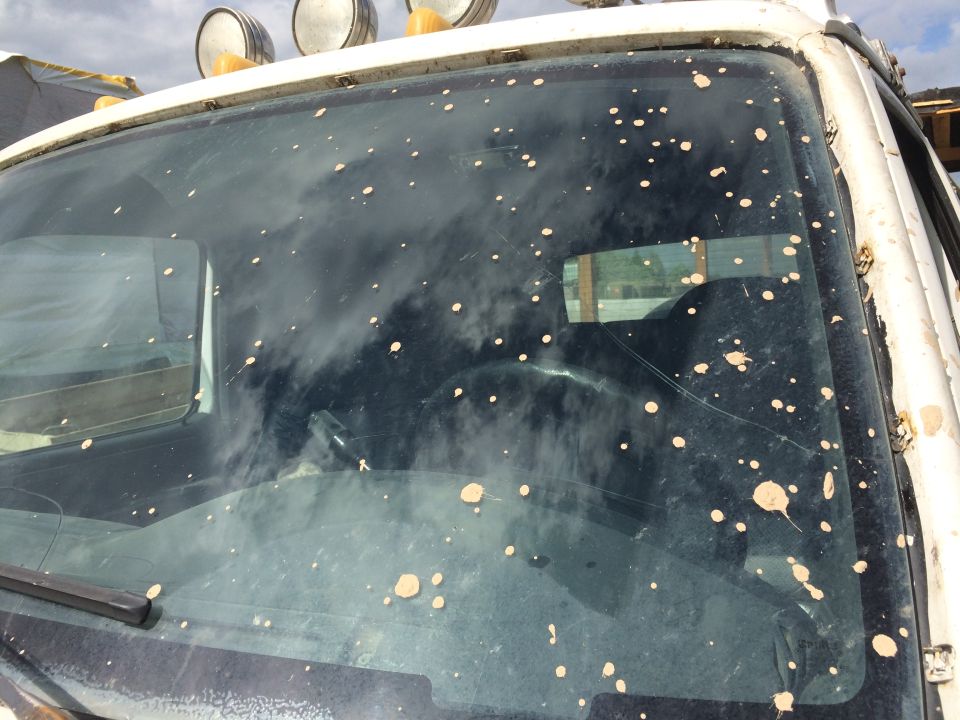 Mud splattered on a truck windshield, showing reflections of clouds and sky.