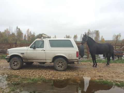 1993 Ford Bronco - A dirty white 1993 Ford Bronco is parked on a gravel lot next to a black horse. The vehicle is a two-door SUV with a spare tire mounted on…