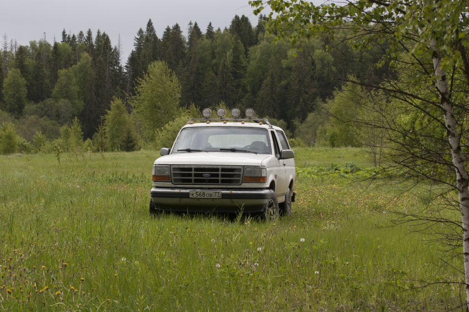 White Ford Bronco parked in a grassy field with a forest backdrop and roof-mounted lights.