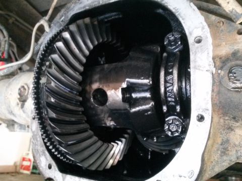 1996 Ford Bronco - A close-up view of the differential gears inside the housing of a 1996 Ford Bronco. The gears are black and appear to be covered in grease.