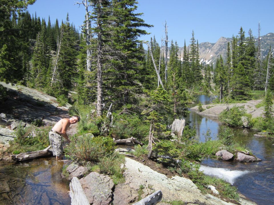 Man wading in a stream in a forest