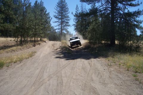 1995 Ford Bronco - A white SUV travels down a dusty, unpaved road surrounded by trees under a clear blue sky.