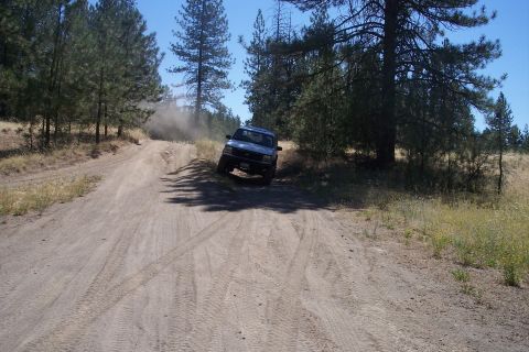 1995 Ford Bronco - A dark-colored SUV is seen driving on a dirt road surrounded by trees and dry vegetation.