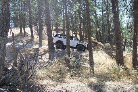 1995 Ford Bronco - A white SUV is parked amongst trees in a wooded area, viewed from a distance.