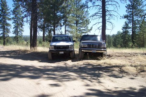 1995 Ford Bronco - Two Ford SUVs, a white one and a black 1992 Ford Bronco, are parked side-by-side on a dirt road surrounded by trees.