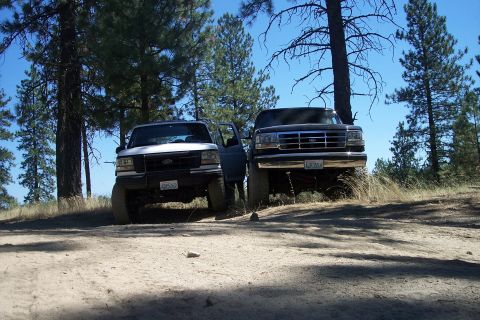 1995 Ford Bronco - Two 1995 Ford Broncos are parked on a dirt road surrounded by trees under a clear blue sky.