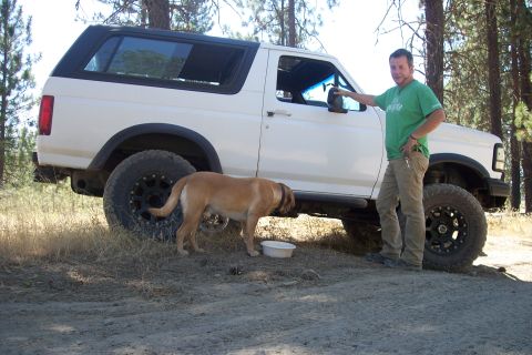 1995 Ford Bronco - Man and dog pose with a white 1995 Ford Bronco in a wooded area.
