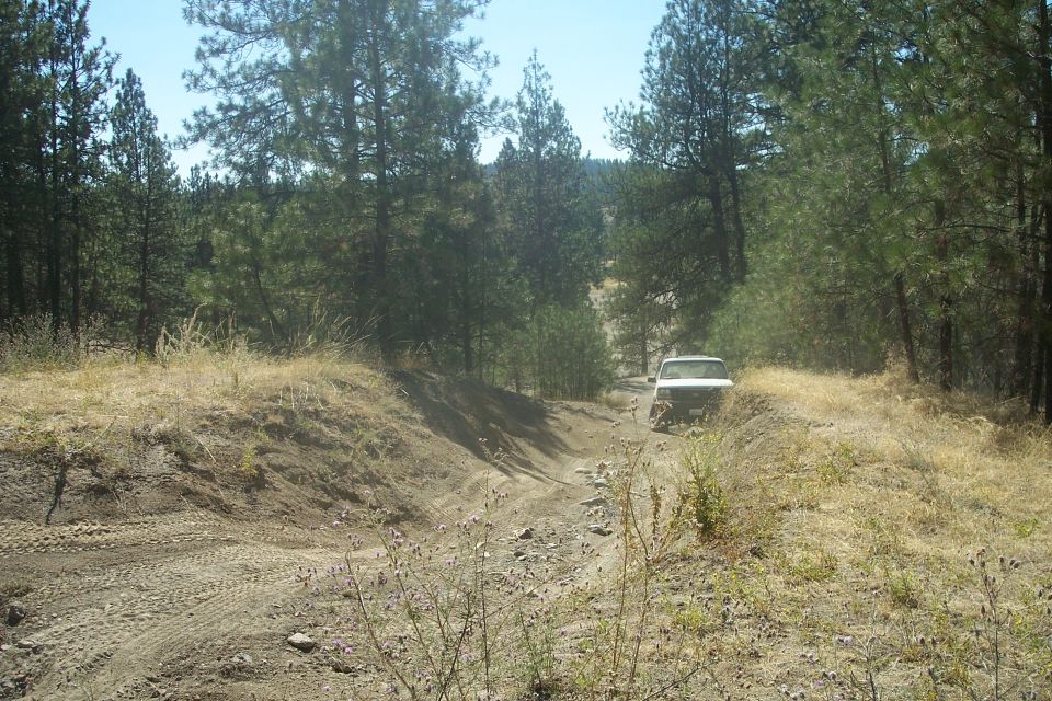 White 1995 Ford Bronco driving up a dirt road in a forest.