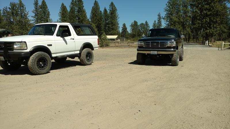 White 1995 Ford Bronco and black Ford F-150 pickup truck parked on dirt lot with pine trees.