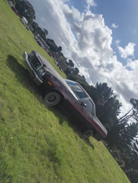 1974 Ford Ranchero - A 1974 Ford Ranchero with a distinctive red stripe is seen parked on a grassy incline under a cloudy sky.