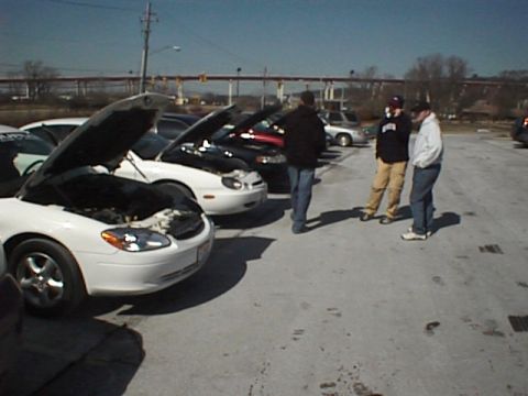 1999 Ford Taurus - A group of people stand near several Ford Taurus vehicles, all with their hoods open, in a parking lot.