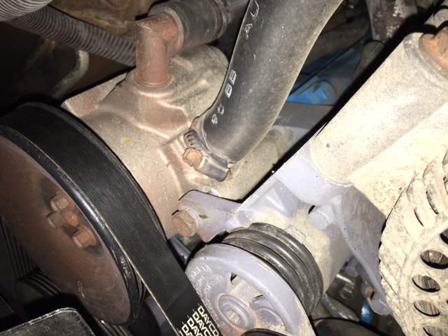 Engine close-up: water pump, hoses, pulleys, and Dayco serpentine belt on a dusty V8.