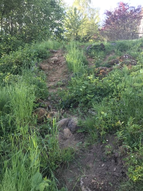 1989 Ford Bronco - A steep, unpaved path winds through dense vegetation and rocks on a hillside.